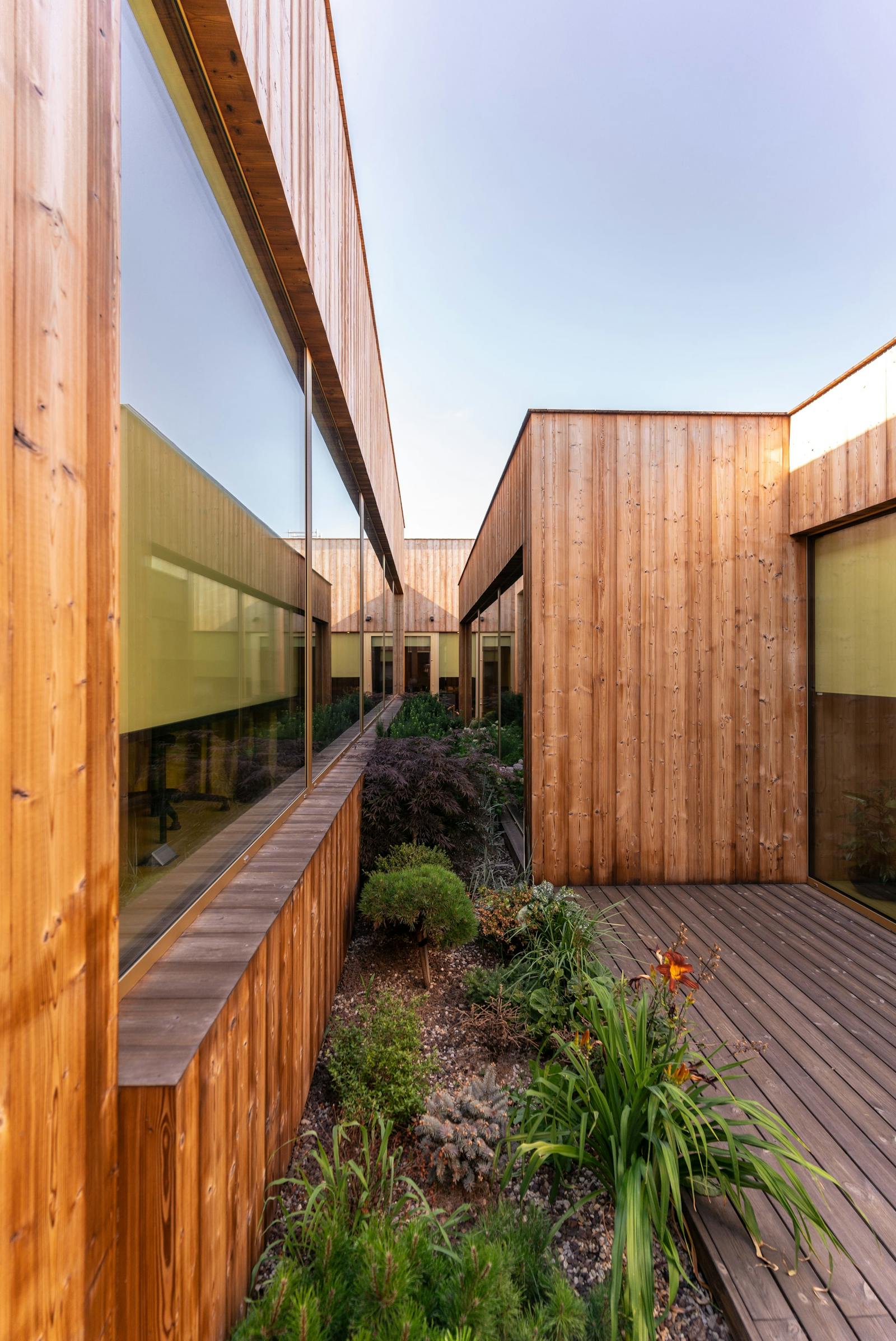 Cedar clad garden building with large glazing, timber decking and a planted garden bed